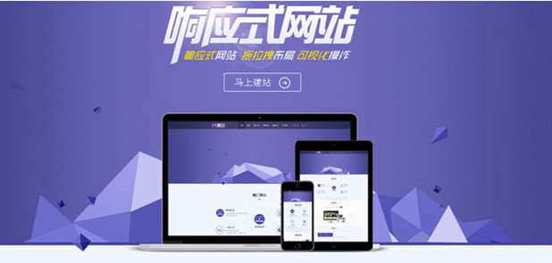 网站金旋体育最新足球网怎么设计
